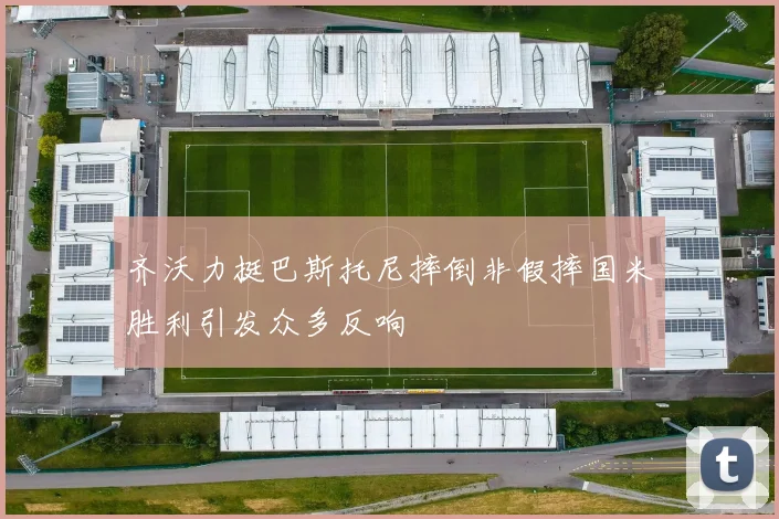 齐沃力挺巴斯托尼摔倒非假摔国米胜利引发众多反响